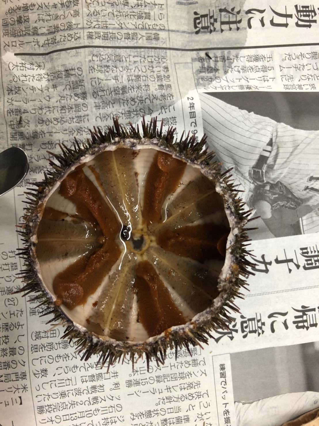 画像名